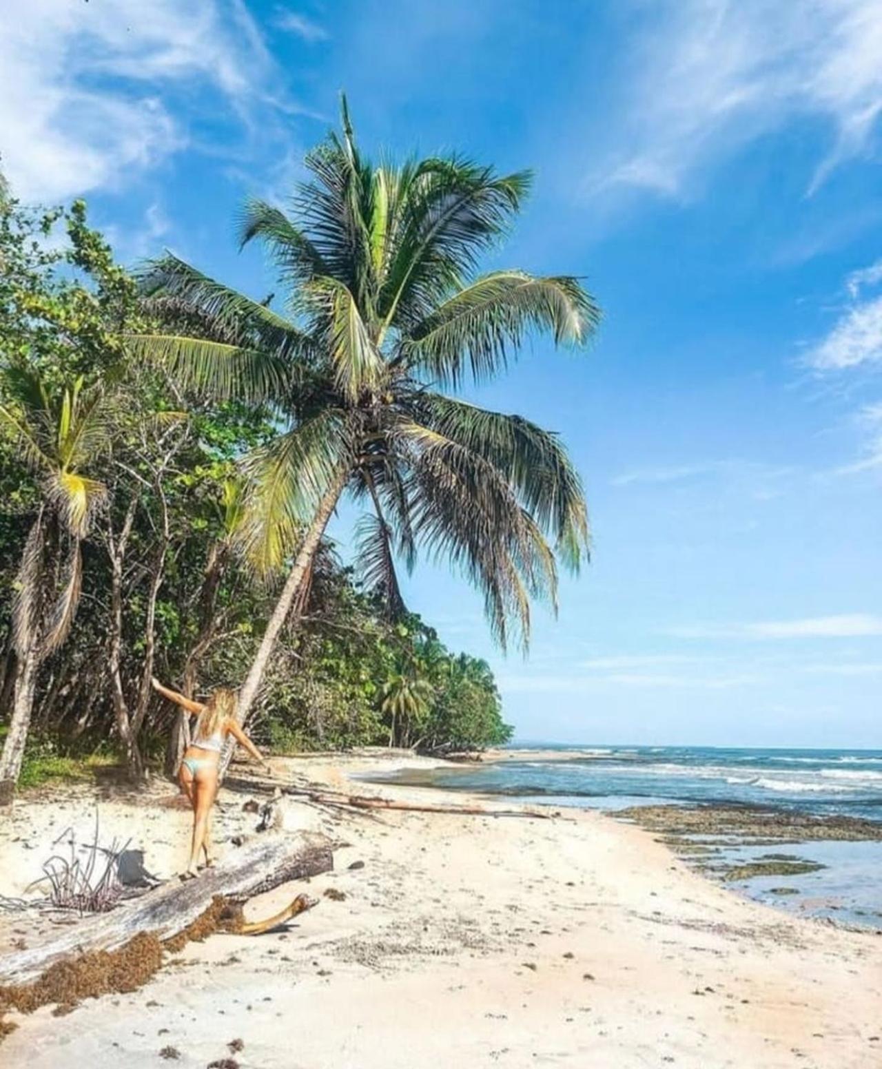 Casa Heliconia - Spacious, Big Garden, Close To The Beach Puerto Viejo de Talamanca 外观 照片