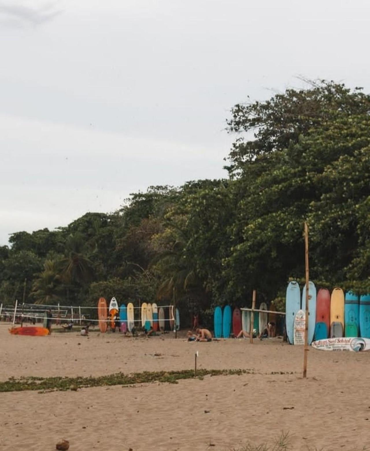 Casa Heliconia - Spacious, Big Garden, Close To The Beach Puerto Viejo de Talamanca 外观 照片
