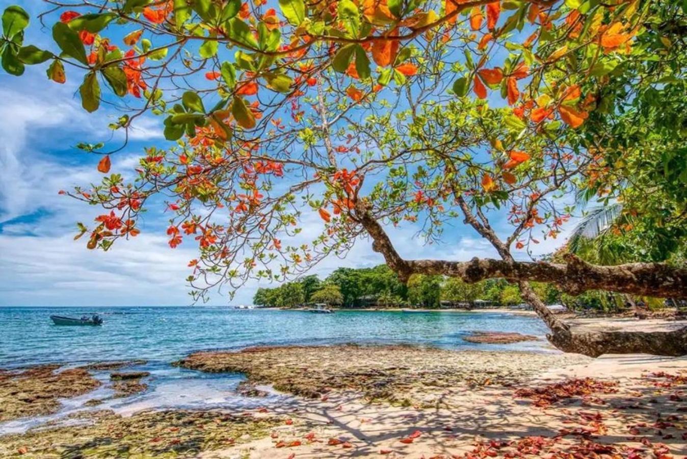 Casa Heliconia - Spacious, Big Garden, Close To The Beach Puerto Viejo de Talamanca 外观 照片