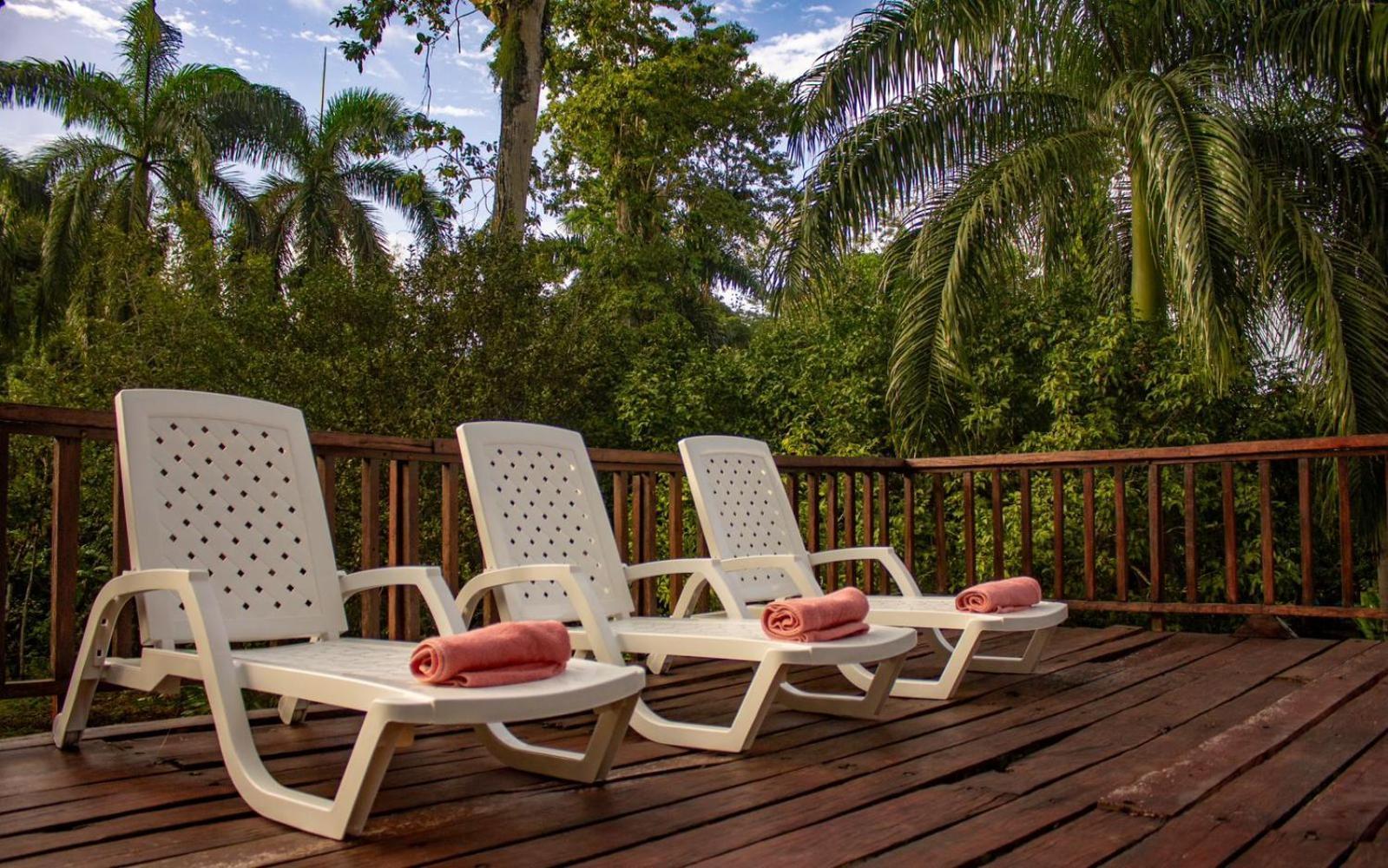 Casa Heliconia - Spacious, Big Garden, Close To The Beach Puerto Viejo de Talamanca 外观 照片