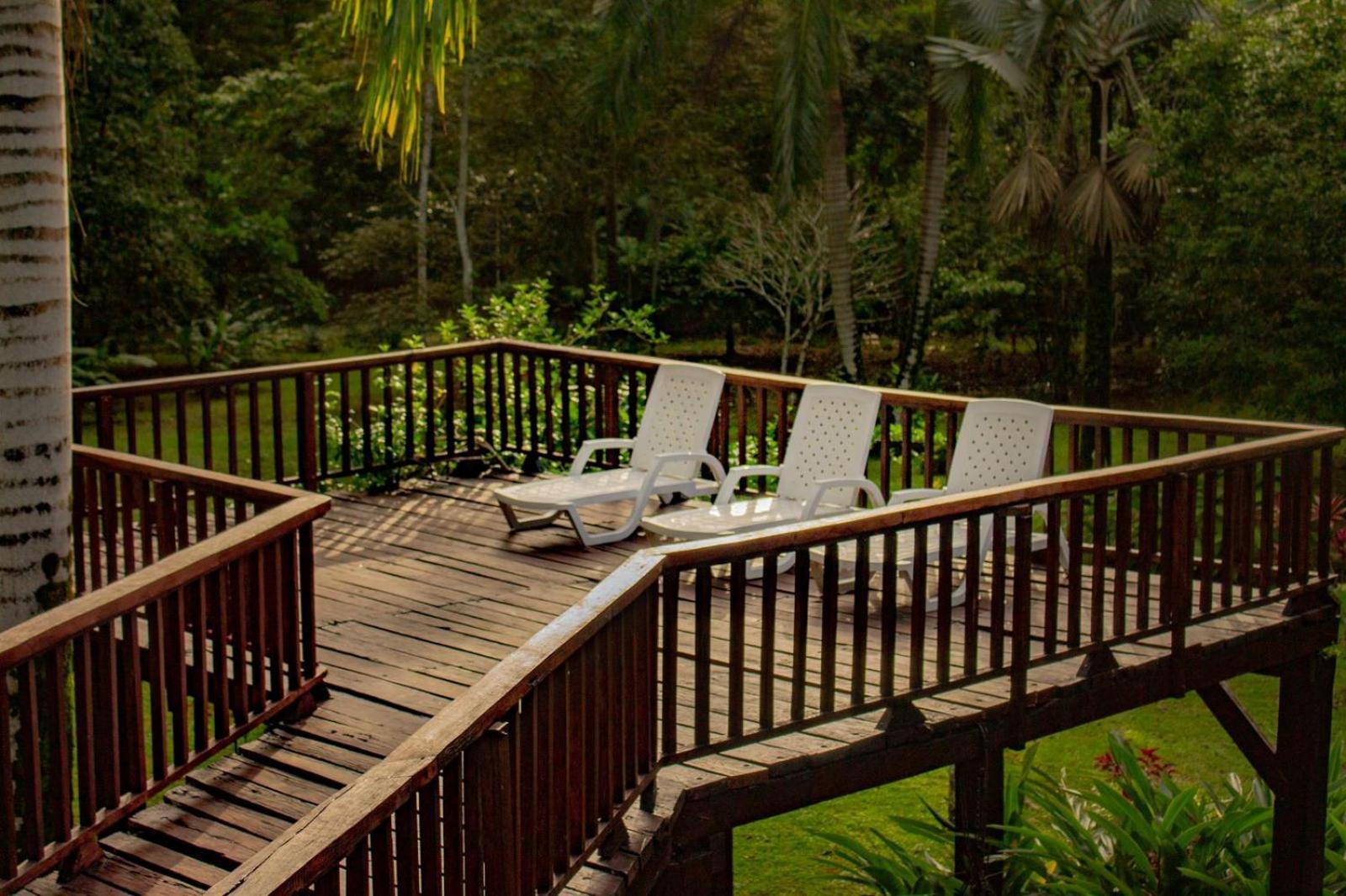 Casa Heliconia - Spacious, Big Garden, Close To The Beach Puerto Viejo de Talamanca 外观 照片